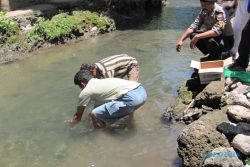 BAYI DIBUANG: Walah! Mayat Bayi Ditemukan Terjepit Batu di Sungai