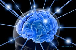200 Peneliti Bergabung Teliti Otak Manusia