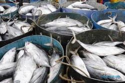 HARGA IKAN LAUT : Libur Usai, Harga Ikan Laut di Pantai Depok Masih Tinggi