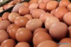 JERAWAT: Putih Telur Bisa Jadi Obat Jerawat