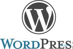  TEKNOLOGI: Celah Keamanan WordPress Ancam Situs dan Blog