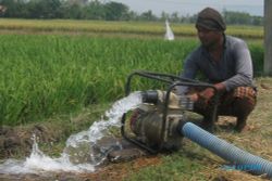 Bantul Usulkan 100 Pompa Air untuk Petani