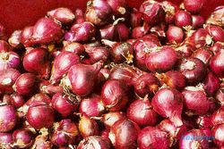 Harga Bawang Merah Melejit, Tertinggi Dalam 3 Tahun