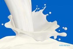 Susu Kambing Etawa Tingkatkan Kecerdasan Anak
