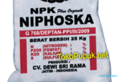 Tahun Depan! PT Pupuk Indonesia Tambah Produksi Pupuk NPK hingga 600.000 Ton
