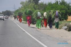 Di Afghanistan, Istri Dijual Bak Barang Dagangan 