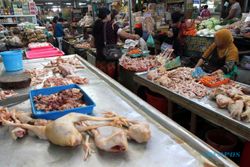 INFO BELANJA : Harga Daging Ayam Anjlok, Penjualan Sepi
