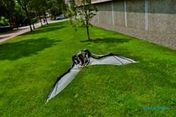 TEKNOLOGI: Bikin Robot Pesawat, Ilmuwan Pelajari Kelelawar Australia