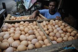 Harga Telur Ayam di Sleman Turun, Rp14.500 Per Kilogram