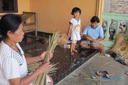 Bambooland, Pengembangan Bambu yang Dilaksanakan di Ngepring Sleman