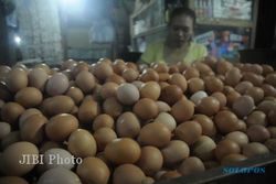 Melambung! Harga Telur Ayam di Maluku dan Papua Nyaris Rp40.000 per Kg