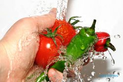 KESEHATAN: Jaga Kebersihan Makanan agar Bebas Racun