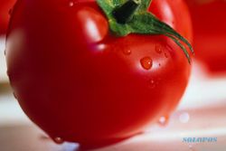 TIPS HERBAL: Mari Segarkan Kulit dengan Tomat