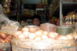 HARGA KEBUTUHAN DI TEMANGGUNG : Harga Telur Tembus Rp25.000 Per Kilogram  
