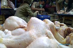 SIDAK PASAR: Tim Gabungan Temukan Ayam Rendaman