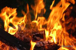 Gara-gara Orang Gila 1 Hektare Hutan Negara di Kokap Terbakar