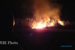 KEBAKARAN SRAGEN : Api Lalap Kebun Tebu di Kopen, Petani Rugi