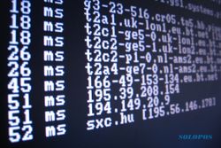 Dihajar DOS Attack 8Gb/detik, Wikileaks Melempem Seminggu