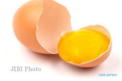 Efek Buruk Mengonsumsi Kuning Telur