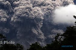    Gunung Berapi di Guatemala Meletus, Ribuan Warga Dievakuasi