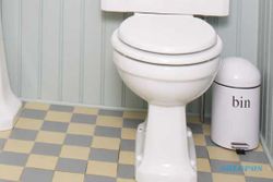 Toilet Tempat Wisata se-ASEAN Akan Distandardisasi