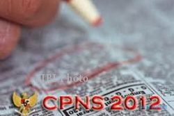   PENERIMAAN CPNS 2012: Alokasi CPNS 2013 6 Kali Lipat dari Tahun Ini