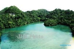 Pulau Sempu Surga Malang Selatan