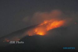 30 Hektare Hutan Lawu Terbakar