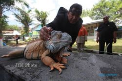 MoU Taman Reptil Balekambang Solo Gantung