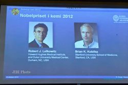 Ilmuwan AS Raih Hadiah Nobel Bidang Kimia untuk Penelitian Respons Sel