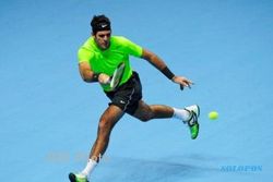ATP WORLD TOUR FINALS: Hidupkan Peluang ke Semifinal, Del Potro Berharap DéjàVu
