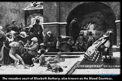 The Blood Countess: Kebal Hukum, Penculikan Gadis Bangsawan Jadi Bumerang (V)