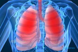 8 Hal di Rumah yang Dapat Mengganggu Kesehatan Paru-paru