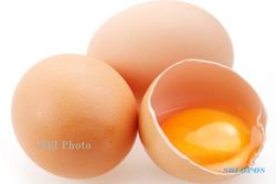 TIPS HIDUP SEHAT : Kuning Telur Justru Kurangi Kolestrol