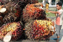 Industri Kelapa Sawit Dituntut Tingkatkan Nilai Tambah Produk