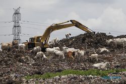 PENGELOLAAN SAMPAH SOLO : Meski Perpres Dibatalkan MA, Wali Kota Pastikan PLTS Jalan Terus