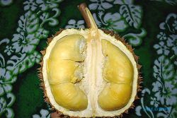 Kemarau, Panen Durian Kalibawang Mundur