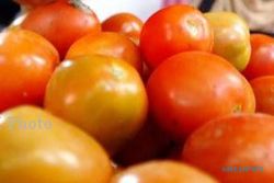  Konsumsi Tomat Dapat Turunkan Risiko Depresi