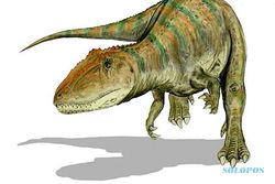 Fosil Dinosaurus Tertua di Dunia Ditemukan...di Museum