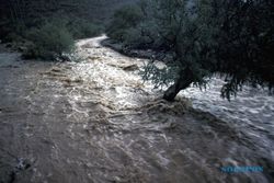 Banjir Rendam Kedundang, Warga Mengungsi ke Balaidesa