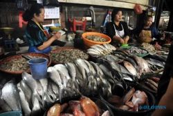 Kurang Promosi, Pasar Ikan Kulonprogo Sepi