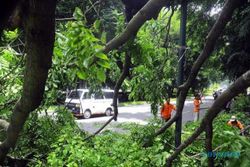 ANGIN KENCANG JOGJA : Bangunan Kraton Tertimpa Pohon Tumbang