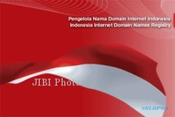 Pengguna Domain Indonesia Meningkat