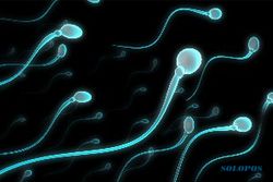 SEKSUALITAS PRIA : 4 Cara Ini Bikin Sperma Sehat