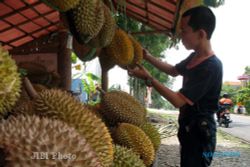 Produkitivitas Durian Wonogiri 2012 Turun 16%