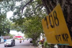 LALU LINTAS JOGJA : Pohon Perindang di Tengah Jalan Dipindahkan