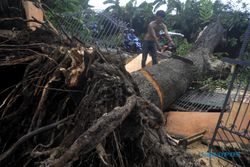 Sebuah Rumah di Bantul Rusak akibat Tertimpa Pohon Tumbang