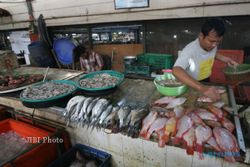 Ikan Laut Langka, Omzet Pedagang Pasar Gede Turun