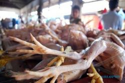 MAKANAN BERBAHAYA : Daging Sudah Menghijau dan Bau Tak Sedap Masih Dijual
