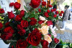 BISNIS BUNGA : Hari Valentine dan Pelantikan Kepala Daerah Menjadi Berkah Pedagang Bunga